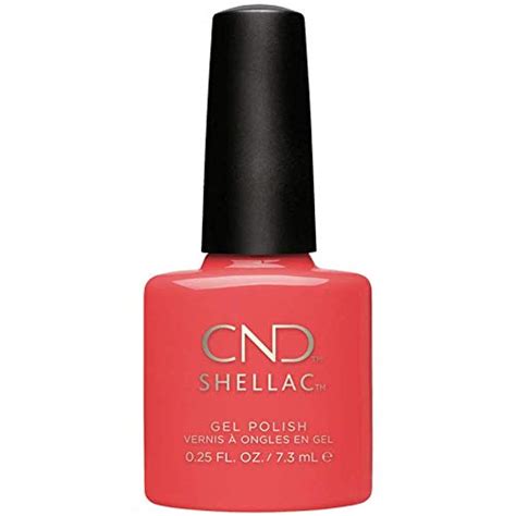 shellac on amazon